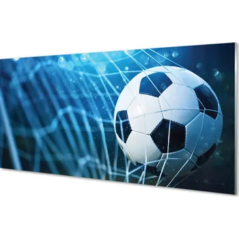 Obklad Skleněný panel Modré pozadí plesu gateway 120x60 cm