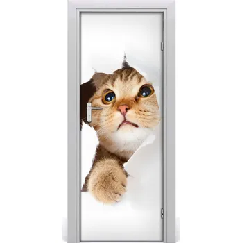 Fototapeta Samolepící fototapeta na dveře ścianę Kot 95x205 cm
