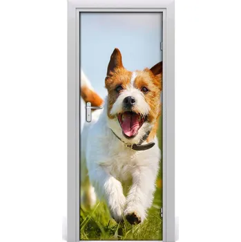 Fototapeta Samolepící fototapeta na dveře Jack Rusell 95x205 cm