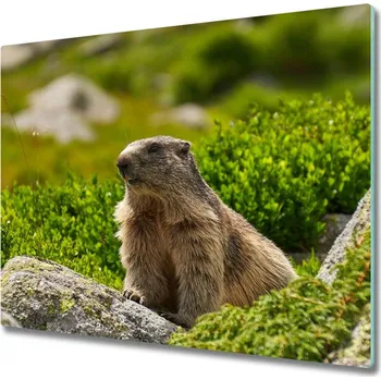 Kuchyňské prkénko Skleněná krájecí deska Świstak tatrzański 60x52 cm