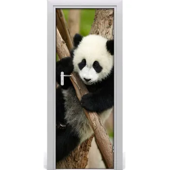 Fototapeta Samolepící fototapeta na dveře Panda na stromě 95x205 cm