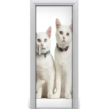 Fototapeta Samolepící fototapeta na dveře Dvě bílé kočky 95x205 cm