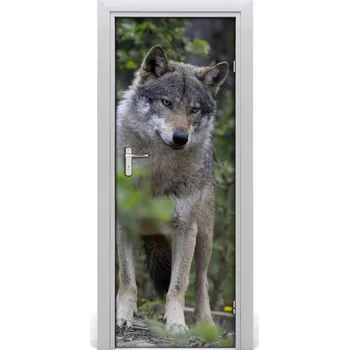 Fototapeta Samolepící fototapeta na dveře Vlk v lese 85x205 cm