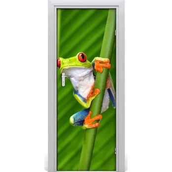 Fototapeta Samolepící fototapeta na dveře Rosnička zelená 85x205 cm