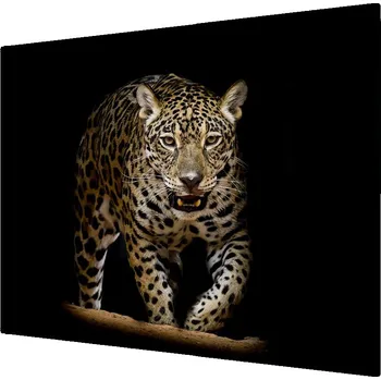 Kuchyňské prkénko Skleněná krájecí deska jaguár 60x52 cm