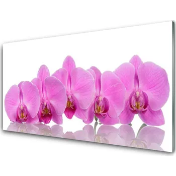 Obklad Skleněné obklady do kuchyně Růžová Orchidej Květiny 140x70 cm