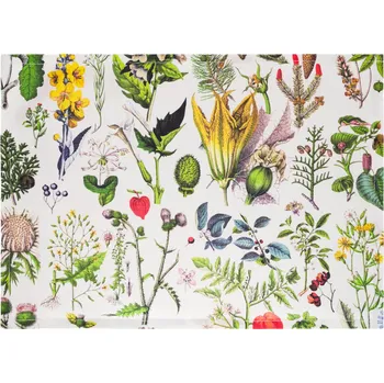 prostírání Presco Sada 4 prostírání - Kateřina Winterová collection