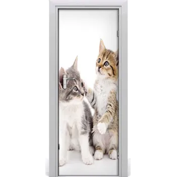 Fototapeta Samolepící fototapeta na dveře Dvě malé kočky 95x205 cm