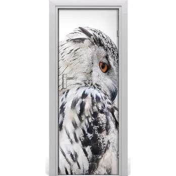 Fototapeta Samolepící fototapeta na dveře Bílá sova 85x205 cm