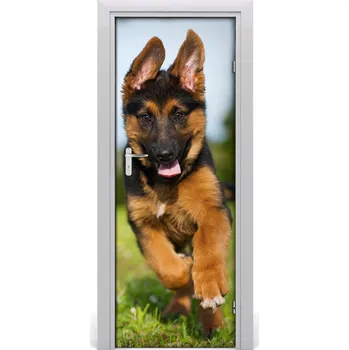 Fototapeta Samolepící fototapeta na dveře Německý ovčák 75x205 cm