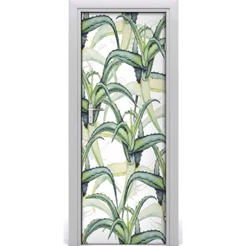Fototapeta Samolepící fototapeta na dveře Aloes 75x205 cm