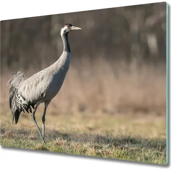 Kuchyňské prkénko Skleněná krájecí deska volavka 60x52 cm