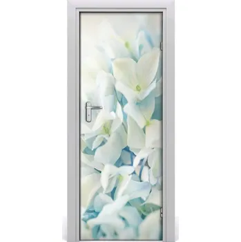 Fototapeta Fototapeta samolepící květ hortensie 85x205 cm