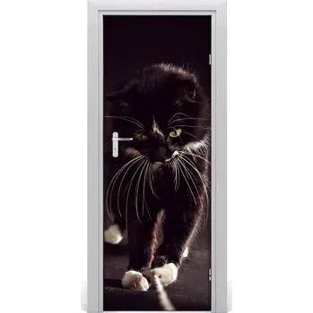 Fototapeta Samolepící fototapeta na dveře Černá kočka 75x205 cm