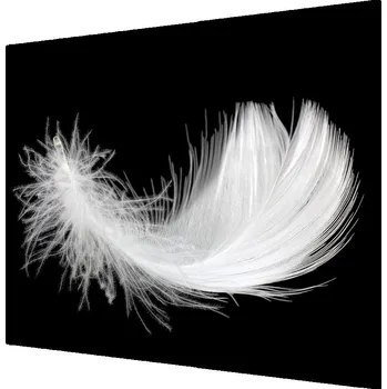 Kuchyňské prkénko Skleněná krájecí deska peří 60x52 cm