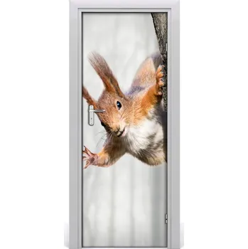 Fototapeta Samolepící fototapeta na dveře Veverka na stromě 85x205 cm