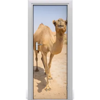 Fototapeta Samolepící fototapeta na dveře Velblou na poušti 85x205 cm