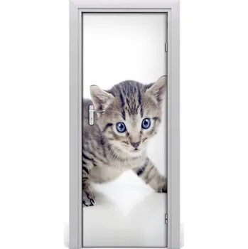 Fototapeta Samolepící fototapeta na dveře Malá kočka 95x205 cm