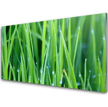 Obklad Skleněné obklady do kuchyně Tráva Kapky Rostlina Příroda 120x60 cm