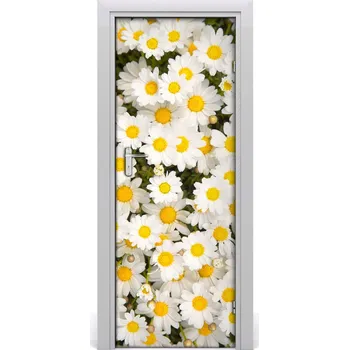 Fototapeta Fototapeta samolepící květy sedmikrásky 75x205 cm