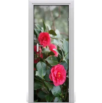 Fototapeta Fototapeta samolepící kamelie 75x205 cm