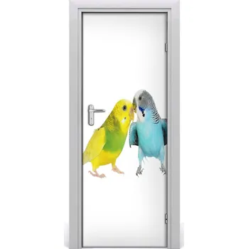 Fototapeta Samolepící fototapeta na dveře Andulka 95x205 cm