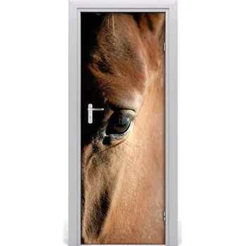 Fototapeta Samolepící fototapeta na dveře Kůň 85x205 cm