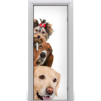 Fototapeta Samolepící fototapeta na dveře Psi a kočky 95x205 cm