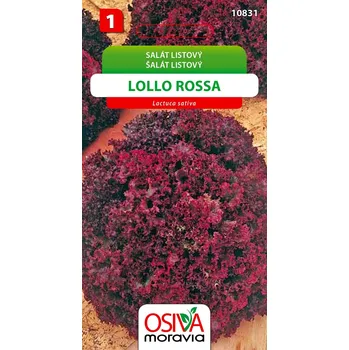 Semeno Osiva Moravia Salát listový Lollo Rossa 0,5 g