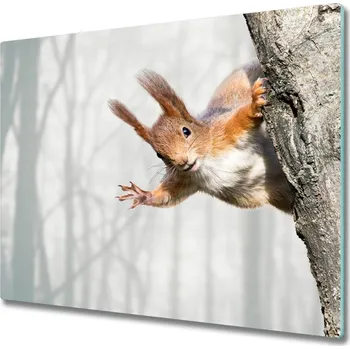 Kuchyňské prkénko Skleněné deska do kuchyně veverka 60x52 cm