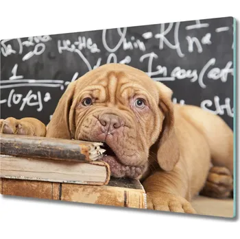 Kuchyňské prkénko Skleněná krájecí deska Pes kousne knihu 60x52 cm