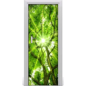 Fototapeta Fototapeta samolepící koruna stromů 75x205 cm