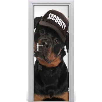 Fototapeta Samolepící fototapeta na dveře Rottweiler 85x205 cm