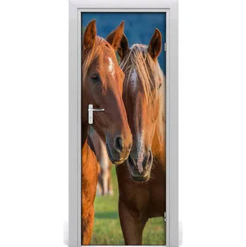 Fototapeta Samolepící fototapeta na dveře Dva koně 75x205 cm