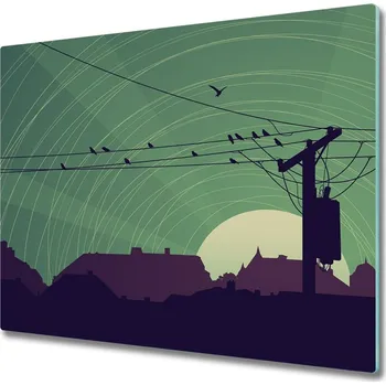 Kuchyňské prkénko Skleněná krájecí deska Ptáci města 60x52 cm