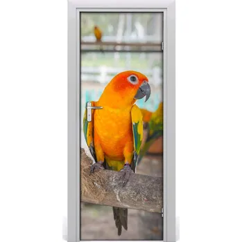 Fototapeta Samolepící fototapeta na dveře Papoušek 75x205 cm