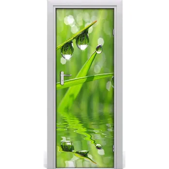 Fototapeta Fototapeta samolepící Tráva 75x205 cm