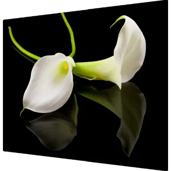 Kuchyňské prkénko Skleněná krájecí deska Kalia 60x52 cm