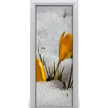 Fototapeta Samolepící fototapeta na dveře Žluté krokusy 95x205 cm