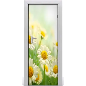 Fototapeta Fototapeta samolepící Sedmikárska 85x205 cm