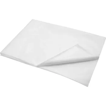 Prostěradlo 2P SERVIS Jednorázové prostěradlo 90x200cm 50g 90x200 cm 100% Polypropylen bílá