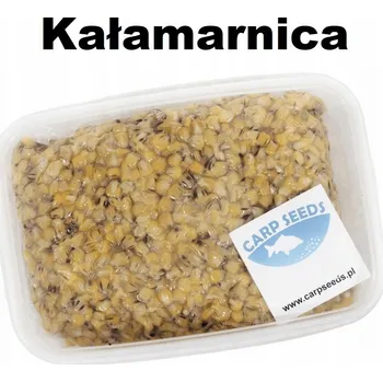 Návnadová surovina Carp Seeds Kukuřice Squid Natural Box 4kg