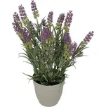 Nohel Garden Levandule v květníku 37 cm