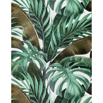 Fototapeta Tapeta listy palmy monstera T01638