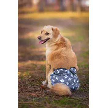 Gapa hárací kalhotky pro psa - vsepropejska.cz Barva: Šedá, Obvod slabin (cm): 24 - 36