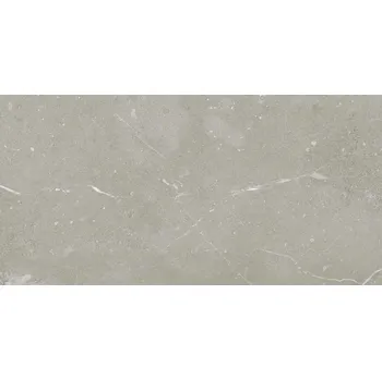 Dlažba RAKO Dlažba Rako Fly šedá mat rektifikovaná 29,8x59,8 DAKSR883 DAKSR883