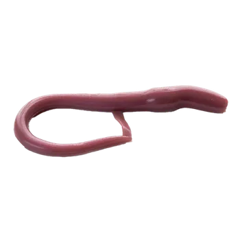 Umělá nástraha Gumová nástraha Moonky Long Worm 90mm C03 Brown Metalic - Cheese (10ks)