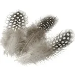 KNORR prandell Peří z Perličky 5 cm Natur 20 ks