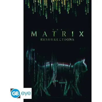 Plakát Plakát Maxi 91,5x61cm - Matrix - Kočka