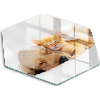 Kuchyňské prkénko Krájecí deska Wallfluent sklo 1 ks